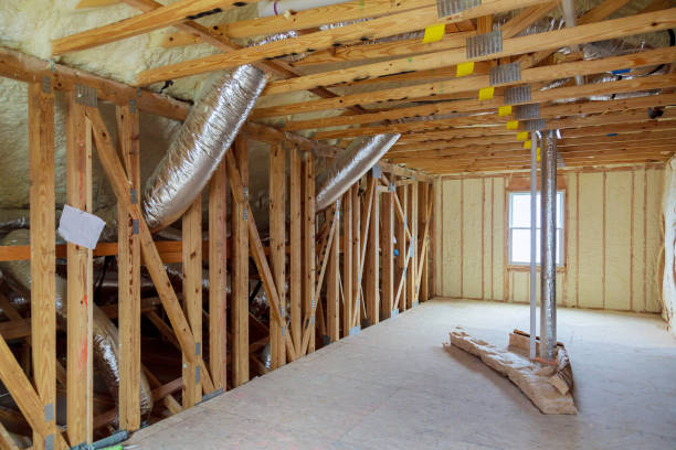 Best Insulation Removal  in Garden City, ID