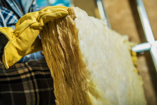 Best Spray Foam Insulation  in Garden City, ID